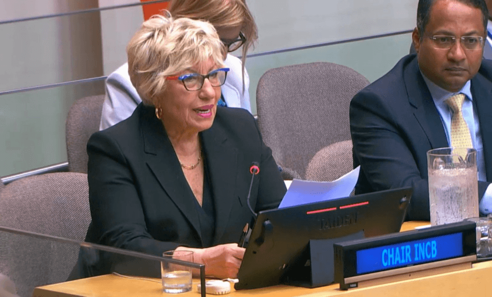 Prof. Sevil Atasoy presented 2024 Reports at the United Nations