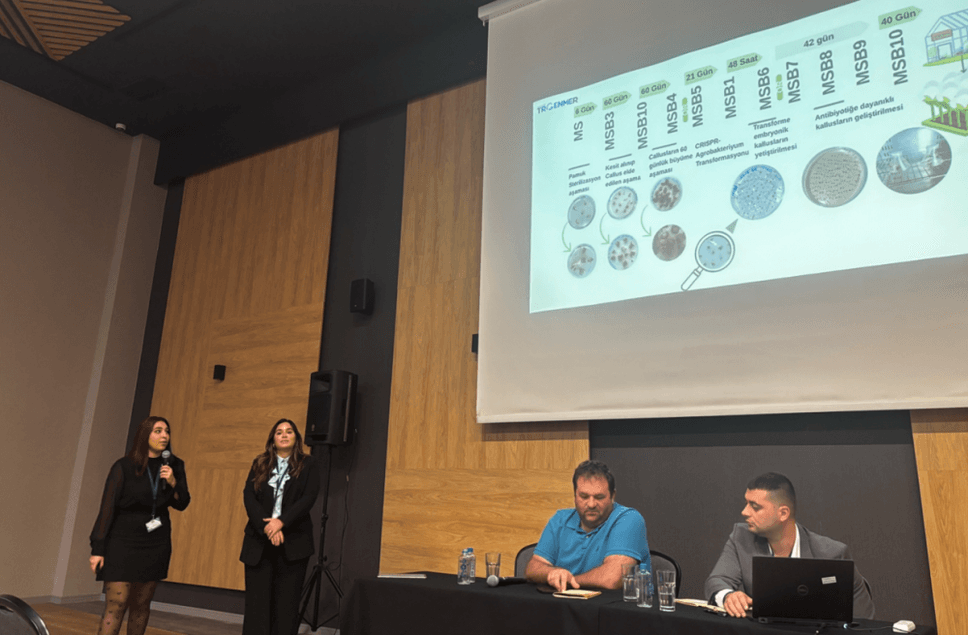 International Interest in the CRISPR-Based Cotton Project